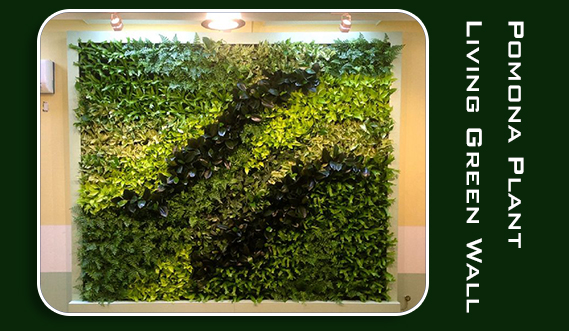 living green wall 1