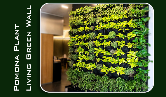 living green wall 2