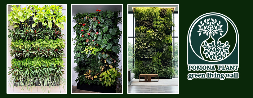 banner green wall